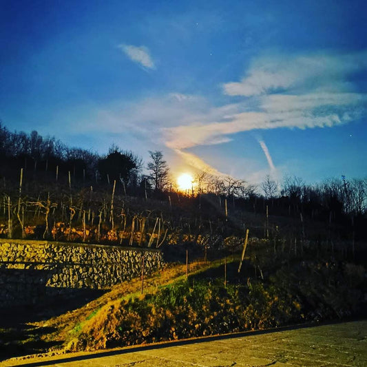 I vini del Monte Orfano
