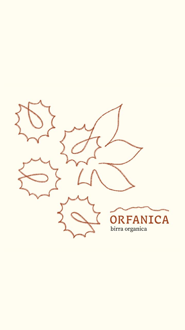 ORFANICA - Blonde Ale 33 cl. (cartone da 8 bottiglie)