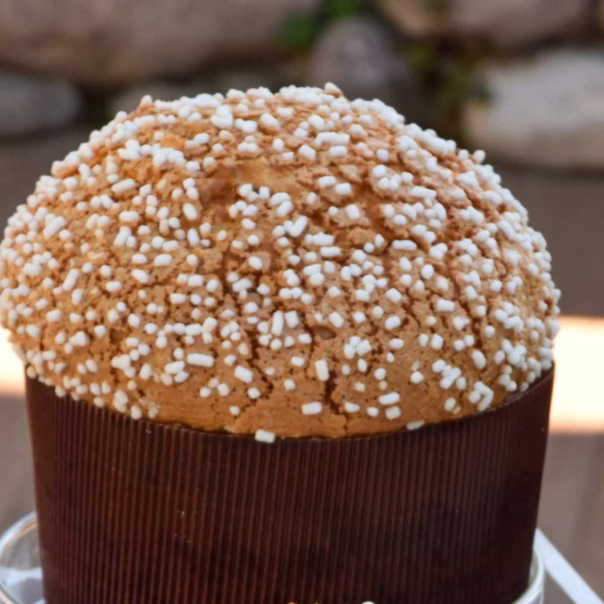 Panettone Limoni del Garda e Olio evo 1 kg | Dolceriva